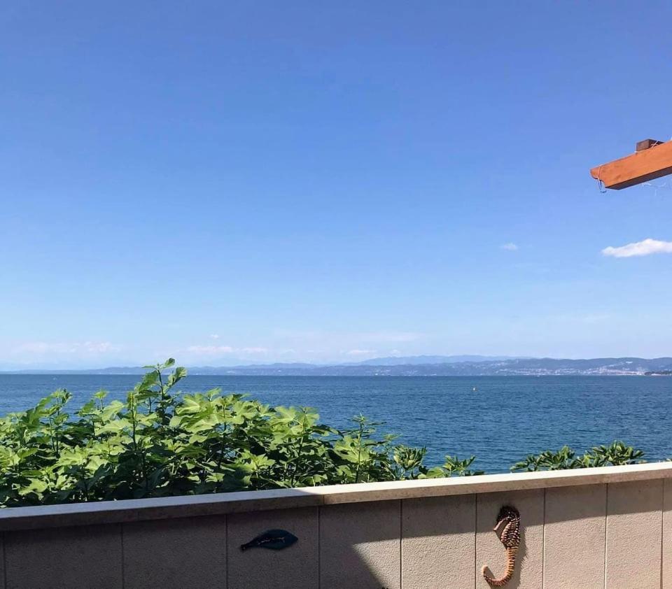 Apartmaji Pri Bosi Nogi Izola Exteriér fotografie